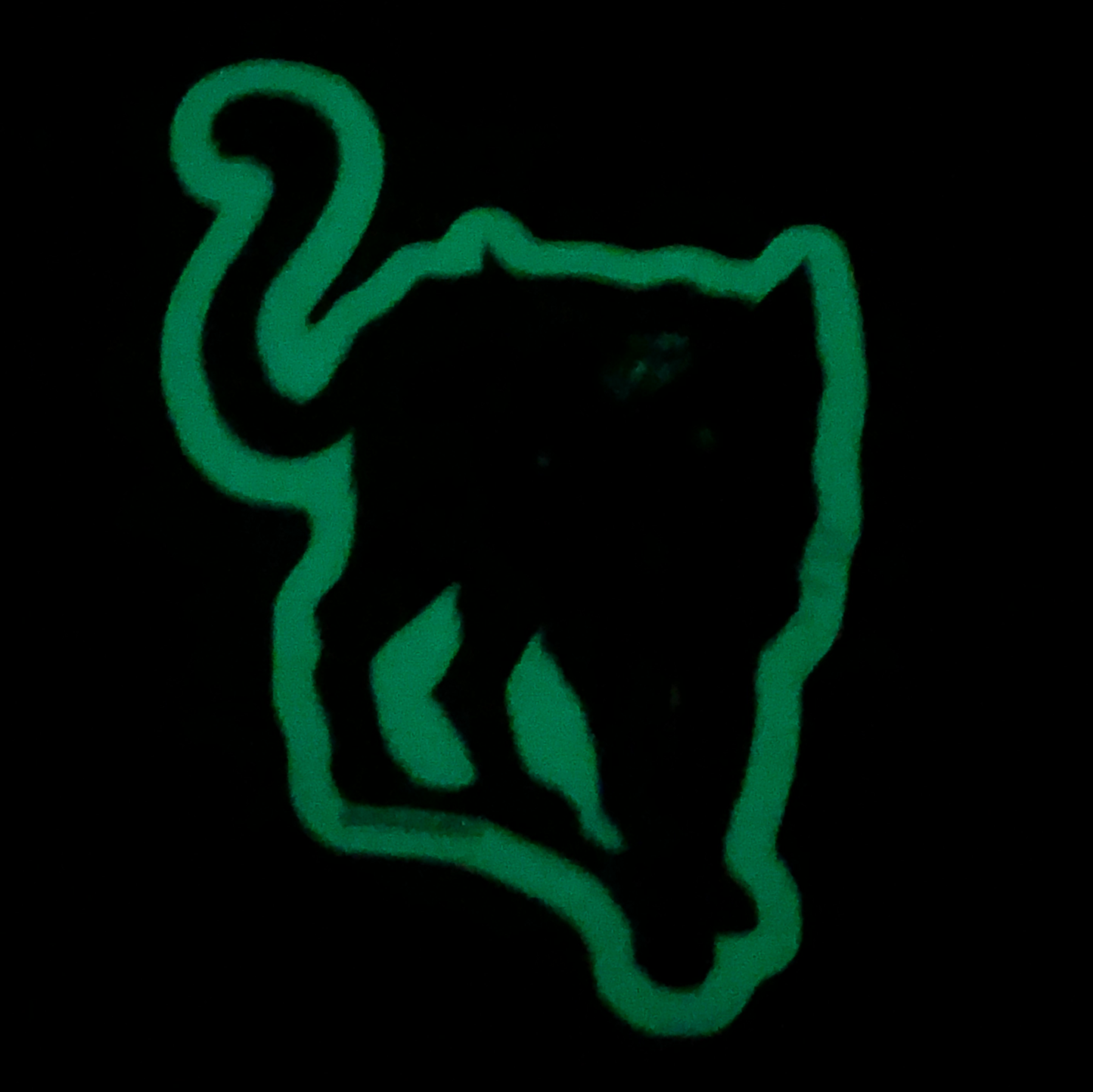 Limited Edition: Gatto Nero